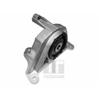 Support moteur avant gauche TEDGUM 00215780