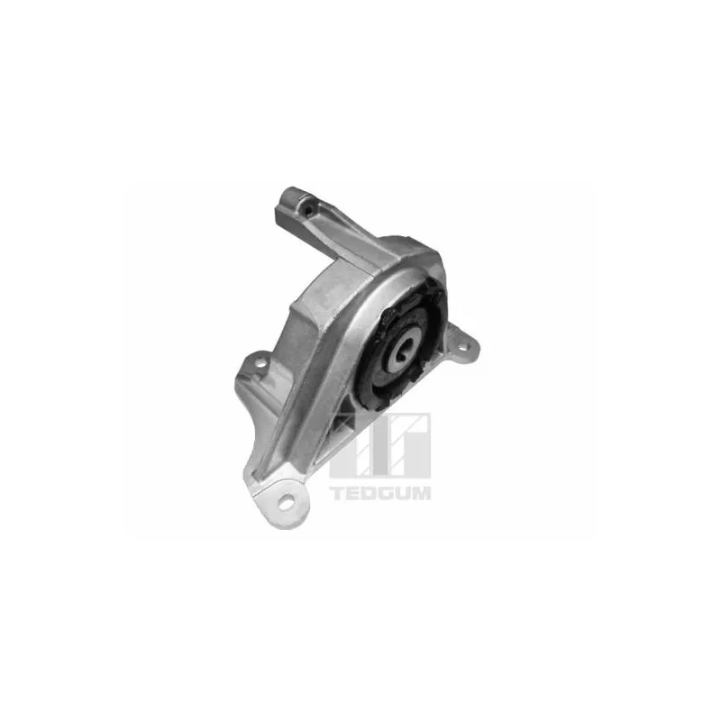 Support moteur avant gauche TEDGUM 00215780