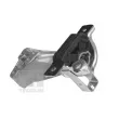 Support moteur TEDGUM 00219260 - Visuel 2