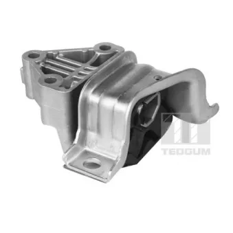 Support moteur avant gauche TEDGUM 00219305