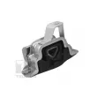 Support moteur avant gauche TEDGUM 00219590 - Visuel 1