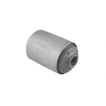 Suspension, ressort à lames TEDGUM 00220343