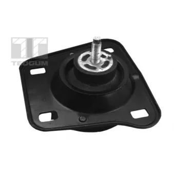 Support moteur avant droit TEDGUM 00221061