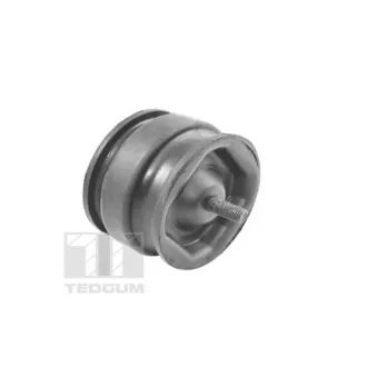 Support moteur TEDGUM 00221175