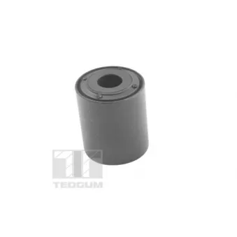 Coussinet de palier, ressort à lames TEDGUM 00221184