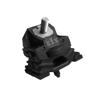 Support moteur TEDGUM 00221761