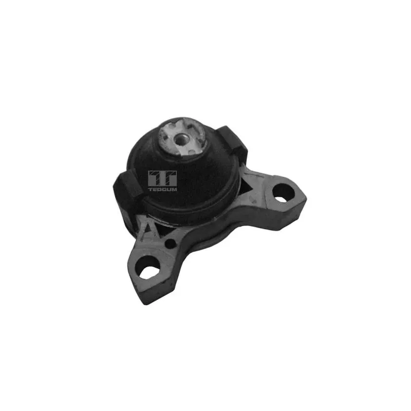 Support moteur avant droit TEDGUM 00222724