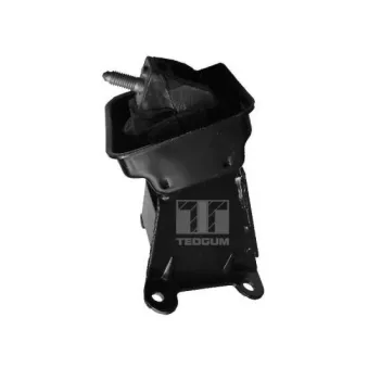 Support moteur avant gauche TEDGUM 00223065