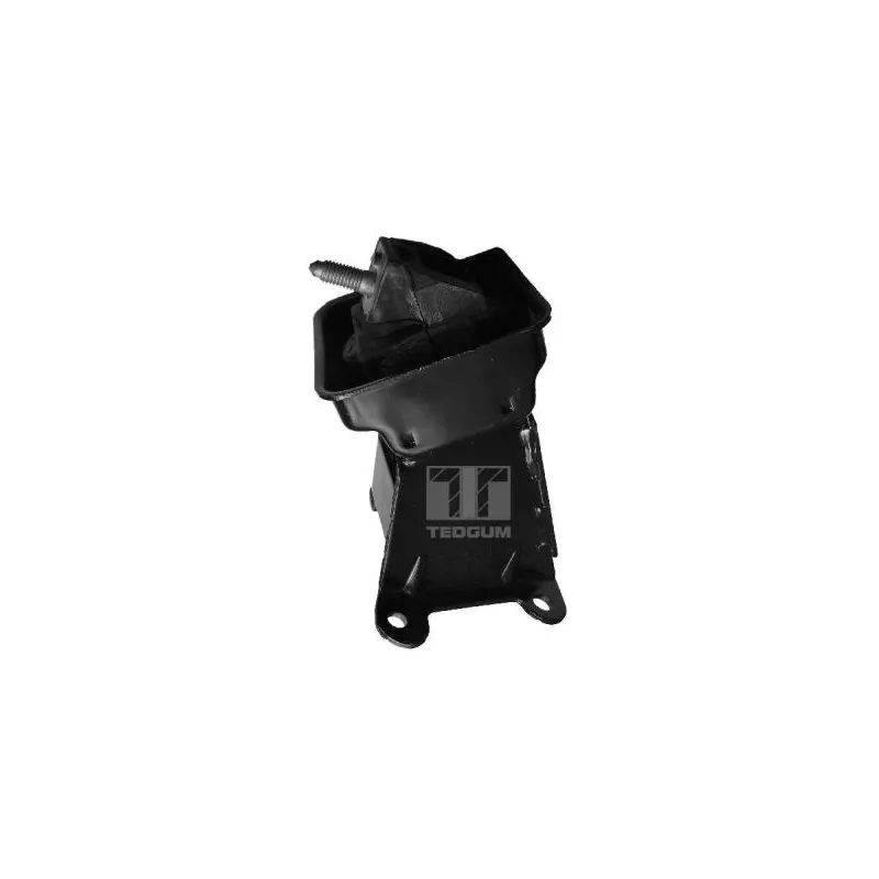 Support moteur avant gauche TEDGUM 00223065