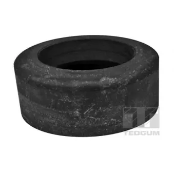 Patin de ressort TEDGUM 00223106