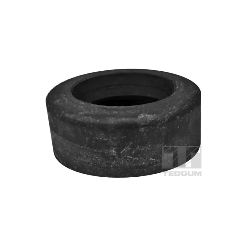 Patin de ressort TEDGUM 00223106