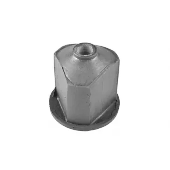 Suspension, corps de l'essieu TEDGUM 00223457