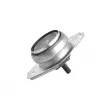 Support moteur TEDGUM 00223797 - Visuel 1