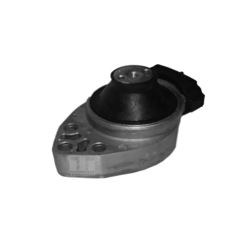 Support moteur avant droit TEDGUM 00226428
