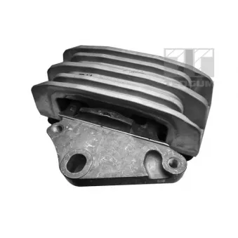 Support moteur avant gauche TEDGUM 00226890