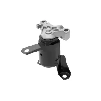Support moteur avant droit TEDGUM 00229073