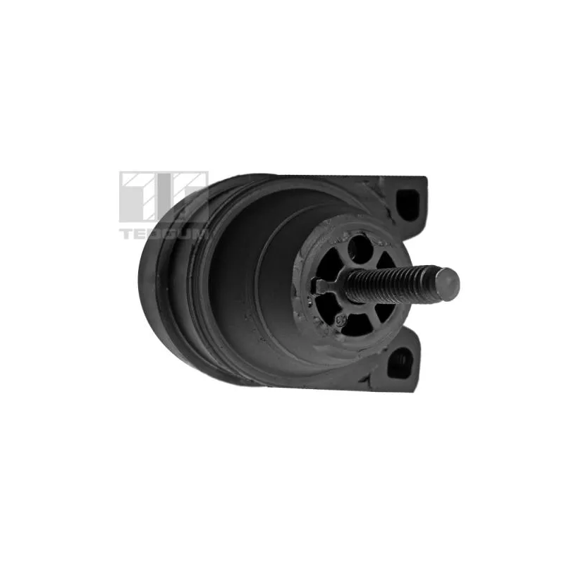 Support moteur avant droit TEDGUM 00237664