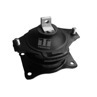 Support moteur TEDGUM 00260933
