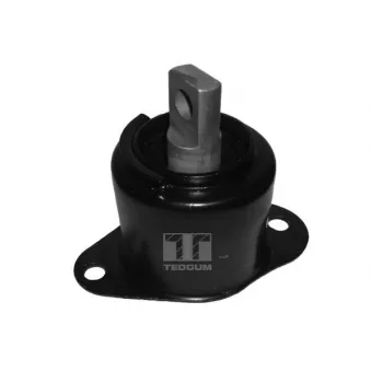 Support moteur avant droit TEDGUM