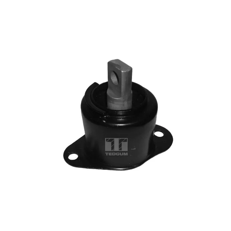 Support moteur avant droit TEDGUM 00260934