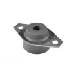 Support moteur avant gauche TEDGUM 00261281 - Visuel 1