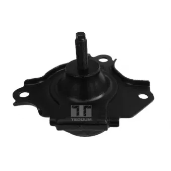 Support moteur avant droit TEDGUM 00262046
