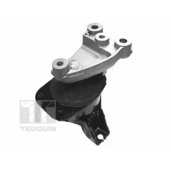 Support moteur TEDGUM