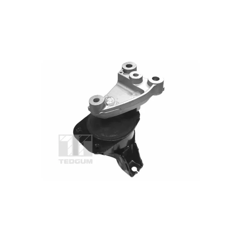 Support moteur TEDGUM 00263047