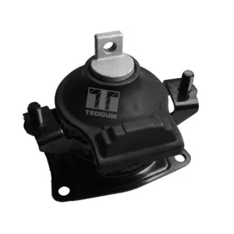 Support moteur TEDGUM 00263076