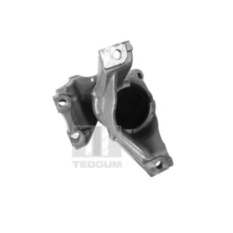 Support moteur avant droit TEDGUM 00269182