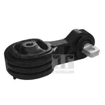 Support moteur avant droit TEDGUM