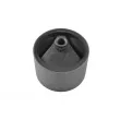 Support moteur avant droit TEDGUM 00276374 - Visuel 2