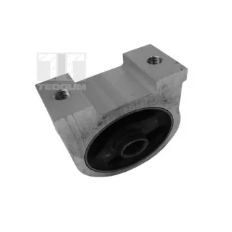 Support moteur TEDGUM 00282049