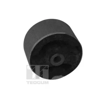 Suspension, Différentiel TEDGUM 00289581