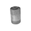 Suspension, ressort à lames TEDGUM 00302434 - Visuel 1
