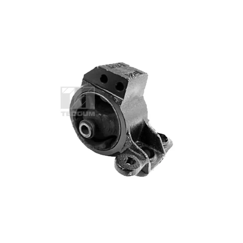 Support moteur arrière droit TEDGUM 00340491