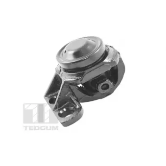 Support moteur avant droit TEDGUM 00345623