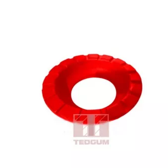 Patin de ressort TEDGUM