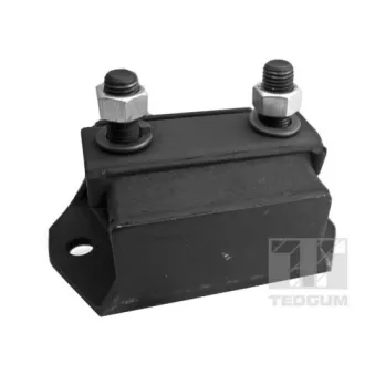 Support moteur TEDGUM 00391581
