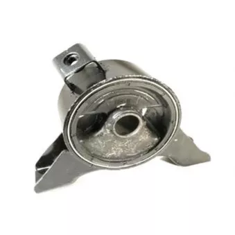 Support moteur arrière droit TEDGUM 00392124