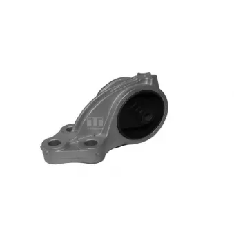 Support moteur TEDGUM 00392491