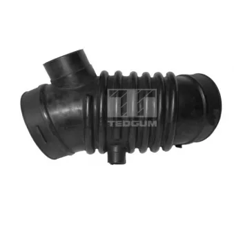 Tuyau d'aspiration, alimentation d'air TEDGUM