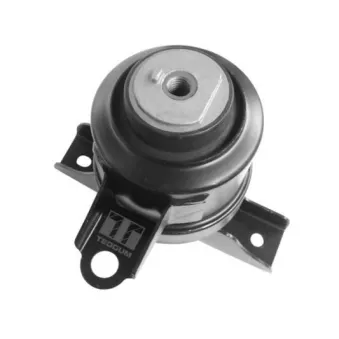 Support moteur avant droit TEDGUM 00393612