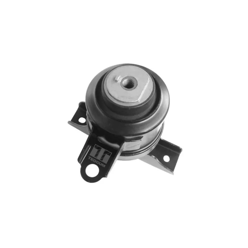 Support moteur avant droit TEDGUM 00393612