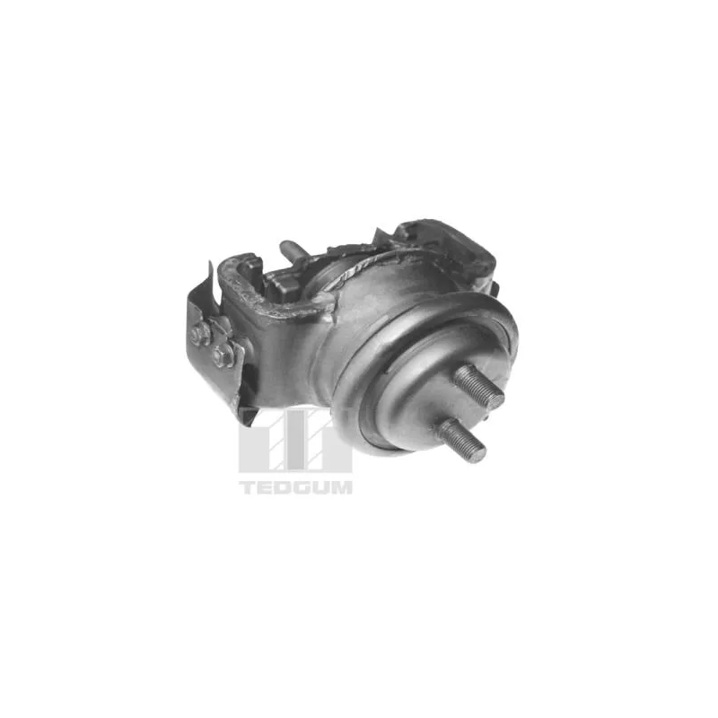 Support moteur TEDGUM 00395115