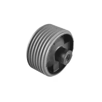 Support moteur TEDGUM 00395314