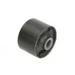 Suspension, Différentiel TEDGUM 00396789 - Visuel 1