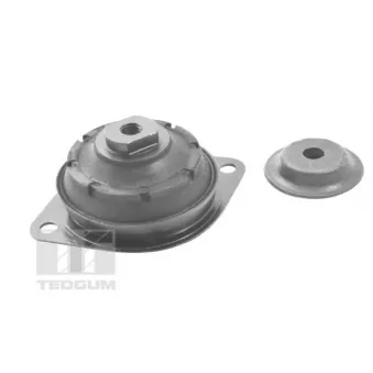 Support moteur TEDGUM 00410502