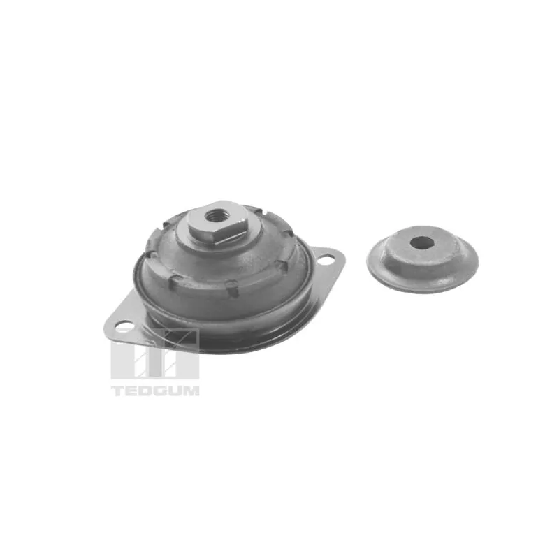 Support moteur TEDGUM 00410502