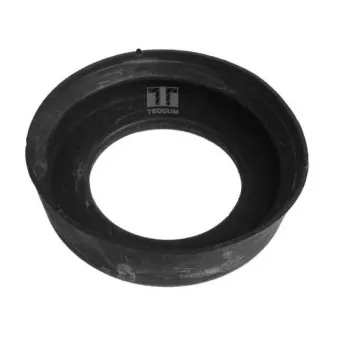 Patin de ressort TEDGUM 00413547